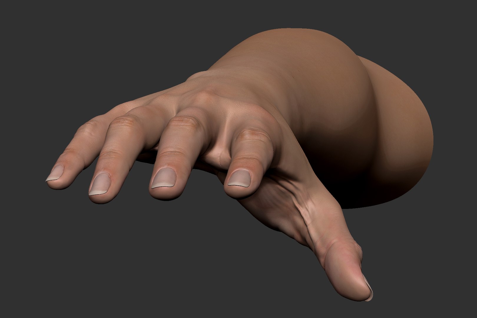 realistic female arm hand 3D model https://p.turbosquid.com/ts-thumb/wB/WK8rUt/uiGO4R4Q/female_arm_image_6/jpg/1533077067/1920x1080/fit_q87/9a63079b645c283ee1735996b62d2204c394b9e9/female_arm_image_6.jpg