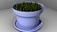 free planting pot grass 3d model