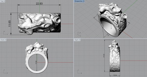 3d rings printing