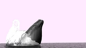 humpback whale 3d obj