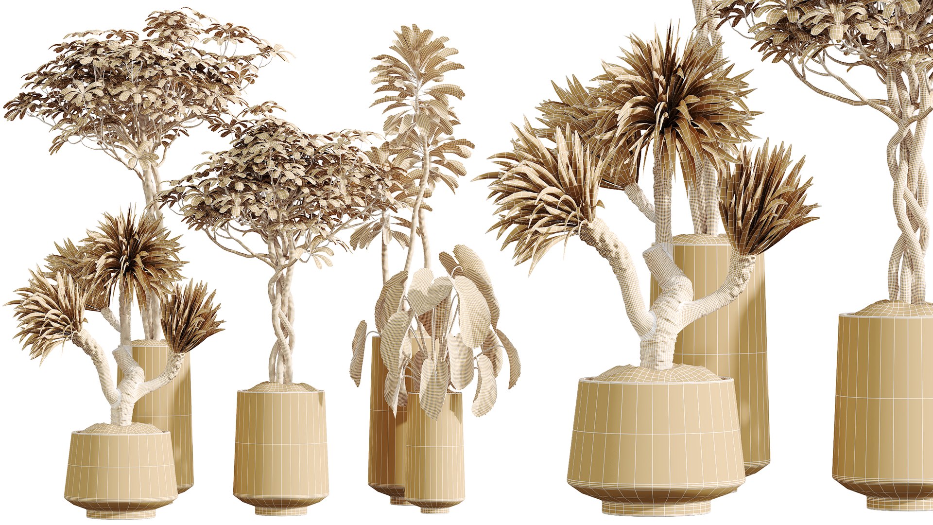 3D AV Indoor Plants Set 406 Cunjevoi Alocasia and Euphorbia Drupifera and Schefflera Arboricola https://p.turbosquid.com/ts-thumb/wB/qbTkHD/W0/07/png/1763535690/1920x1080/fit_q87/2aa5d33004f5d2de89e60246c4d859d8f229137c/07.jpg