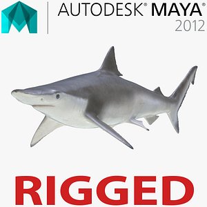 3d spadenose shark rigged model