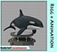 Orca