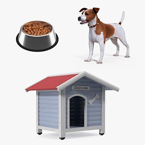 Jack Russell Terrier with Dog House and Bowl Collection
