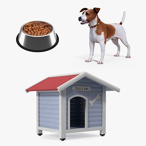 Jack Russell Terrier with Dog House and Bowl Collection