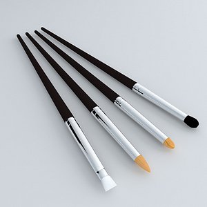 4 Cosmetic Makeup Brushs