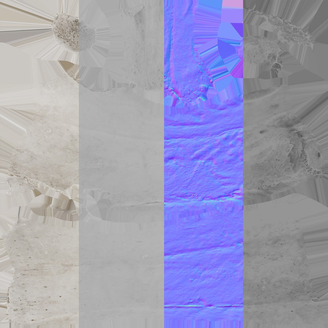 3D costae verae true rib https://p.turbosquid.com/ts-thumb/wC/TJ87Qy/XS/costae_verae_true_rib_02_white_textures/jpg/1606987720/1920x1080/fit_q87/0c5b2bf8fa3cc30e36651549f121bb3679e1ef8e/costae_verae_true_rib_02_white_textures.jpg