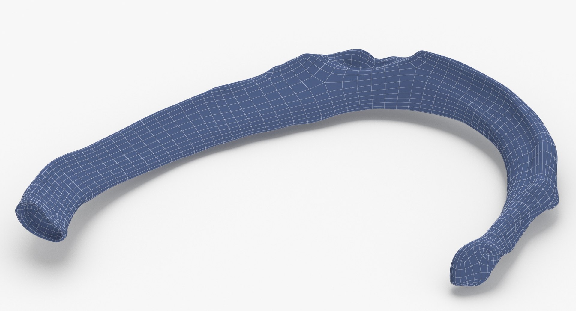 3D costae verae true rib https://p.turbosquid.com/ts-thumb/wC/TJ87Qy/Xx/costae_verae_true_rib_02_white_wireframe_0004/jpg/1606987696/1920x1080/fit_q87/e80992b62127d4edeabc1ff4ded991c463bc9b32/costae_verae_true_rib_02_white_wireframe_0004.jpg