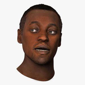 African Male Head Fur Rigged