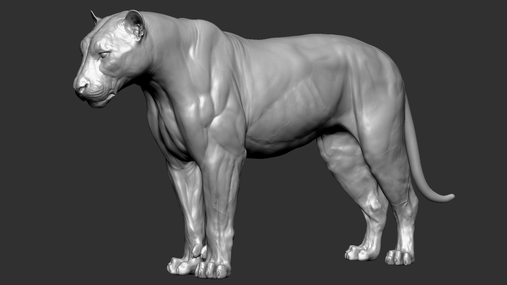 3D tiger vfx zbrush sculpt - TurboSquid 1521066