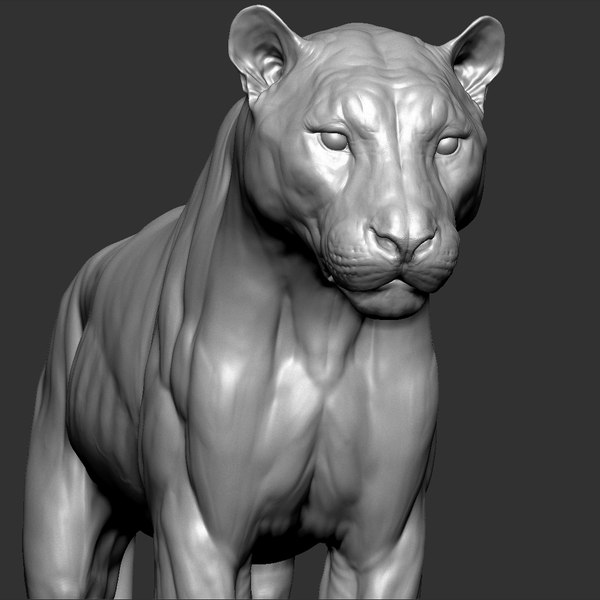 3D tiger vfx zbrush sculpt
