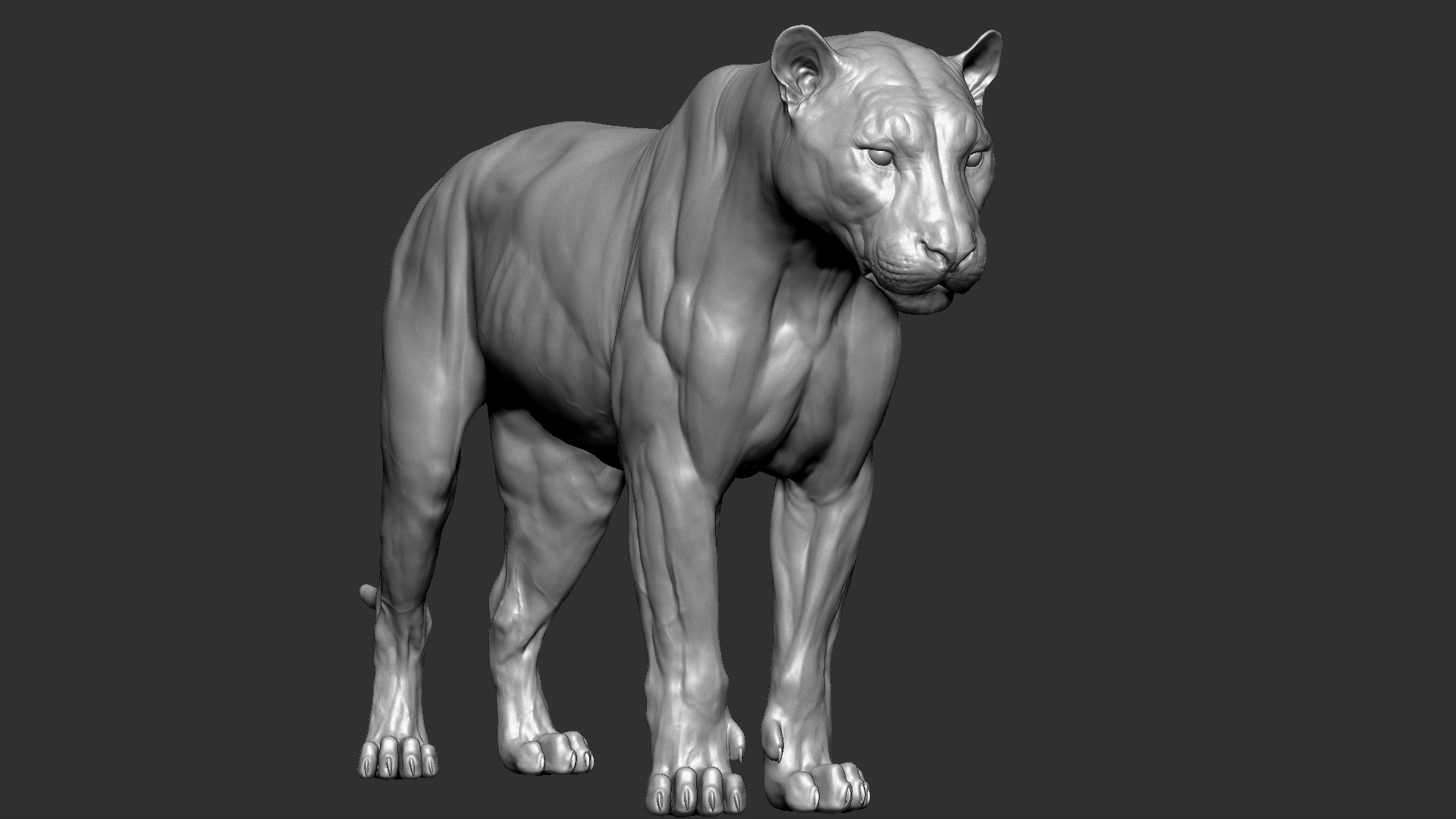 3D Tiger Vfx Zbrush Sculpt - TurboSquid 1521066