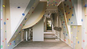 Home Climbing Wall Interior Scene and Corona Render 3D model