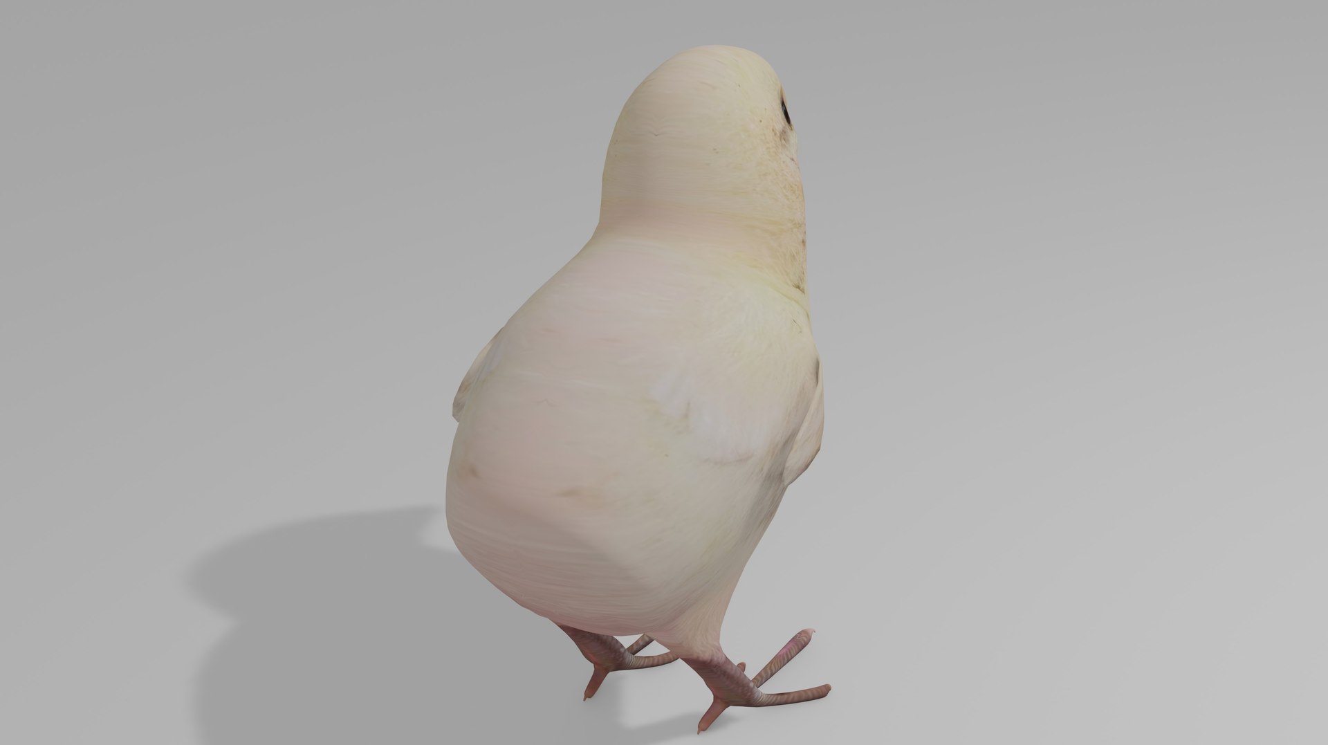 3D Baby chick OBJ https://p.turbosquid.com/ts-thumb/wD/Pc2URa/Gb/1/jpg/1717970061/1920x1080/fit_q87/b1dd34b7da9498182417dcf1388a6dbc779c25f8/1.jpg