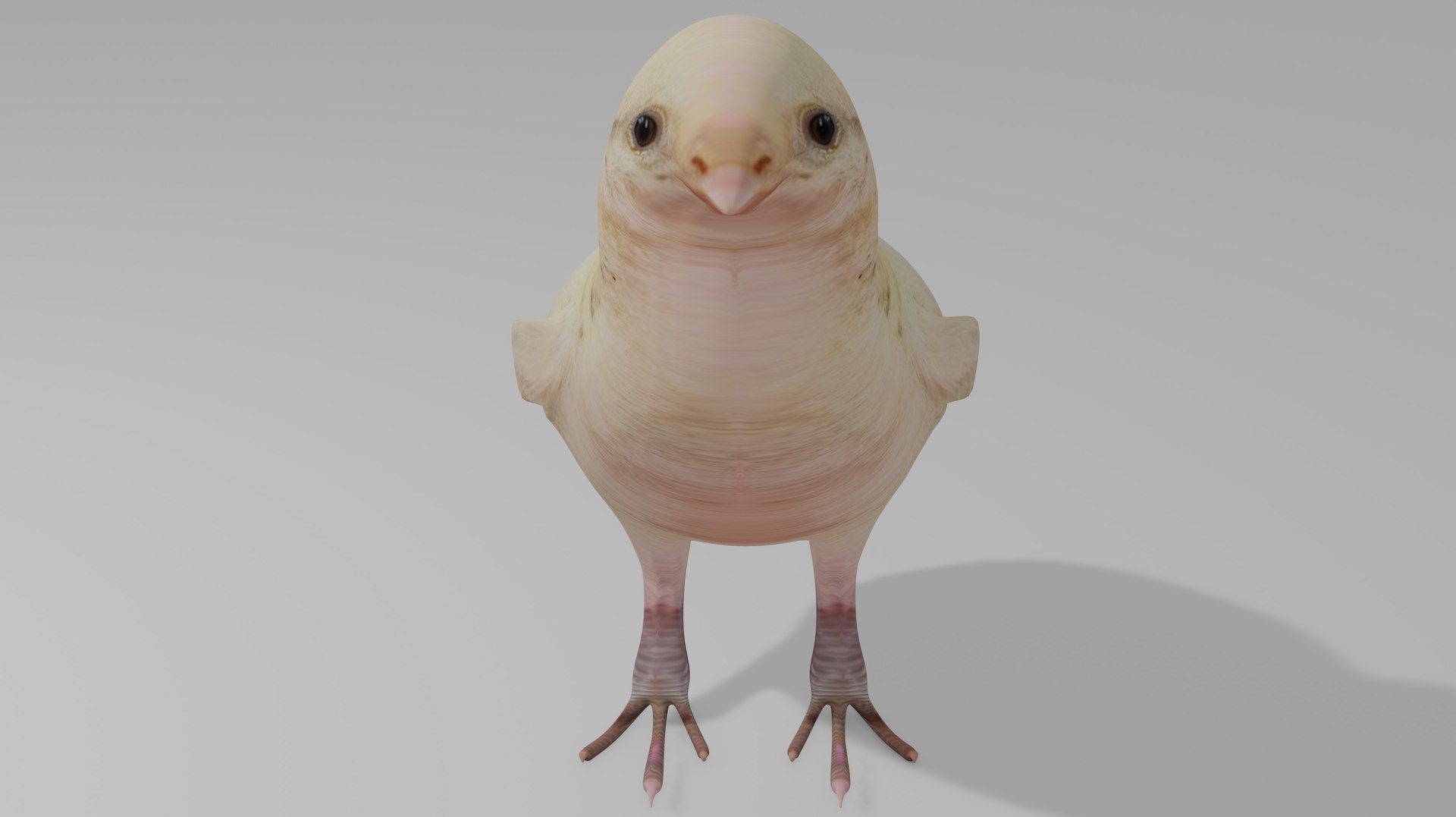 3D Baby chick OBJ https://p.turbosquid.com/ts-thumb/wD/Pc2URa/SS/4/jpg/1717970062/1920x1080/fit_q87/f333f9575555d8f1c29f15ab10672176fd725f76/4.jpg