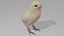 Baby chick OBJ