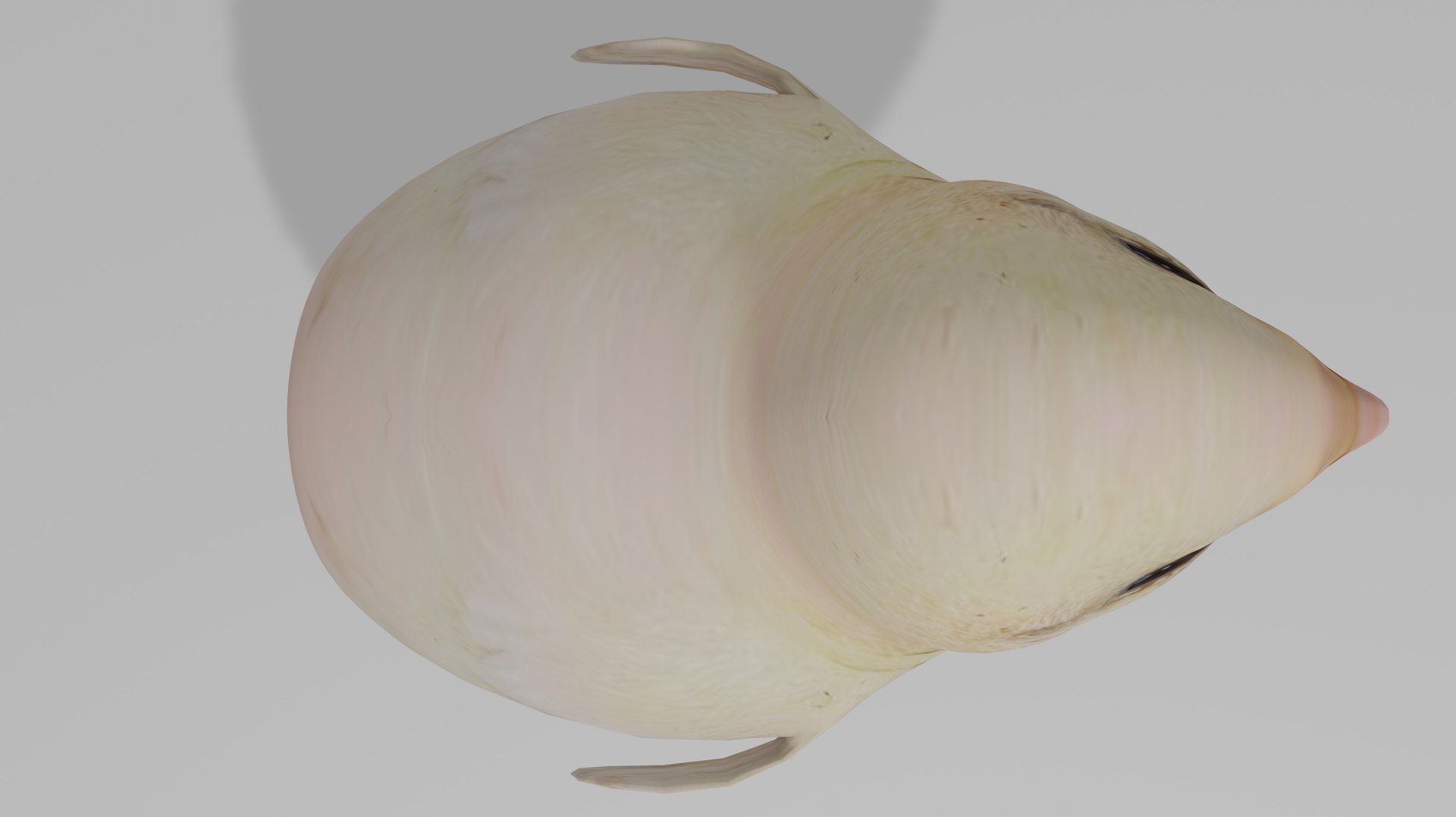 3D Baby chick OBJ https://p.turbosquid.com/ts-thumb/wD/Pc2URa/lD/6/jpg/1717970063/1920x1080/fit_q87/9bfaa1490204bf8d1b574c31abadfdea6fd2e839/6.jpg