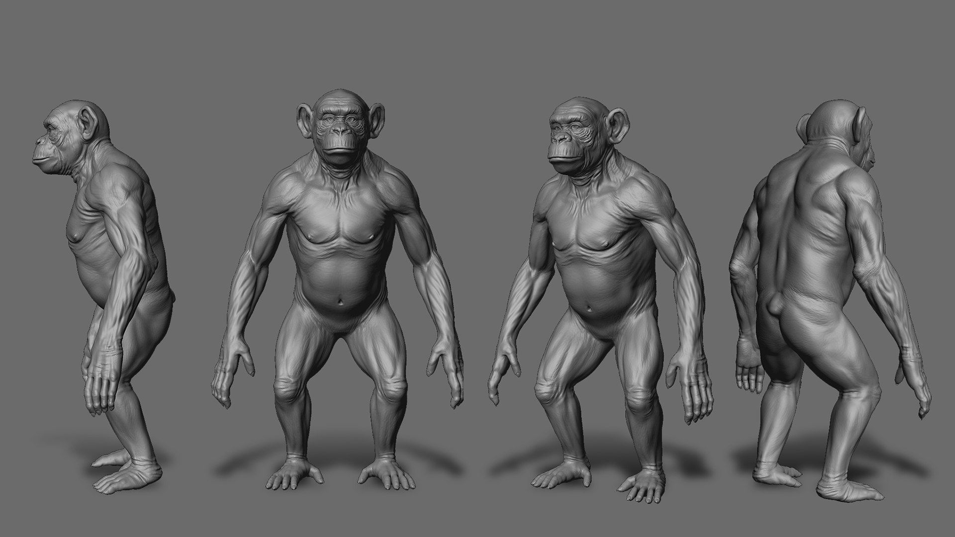 3D Primate Pack  2 model https://p.turbosquid.com/ts-thumb/wD/aEFLob/54/1/jpg/1687932464/1920x1080/fit_q87/50b0accfbb2331049686fe22f6a686c70cf4aa98/1.jpg