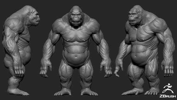 modelo 3d Paquete de primates - TurboSquid 2096641