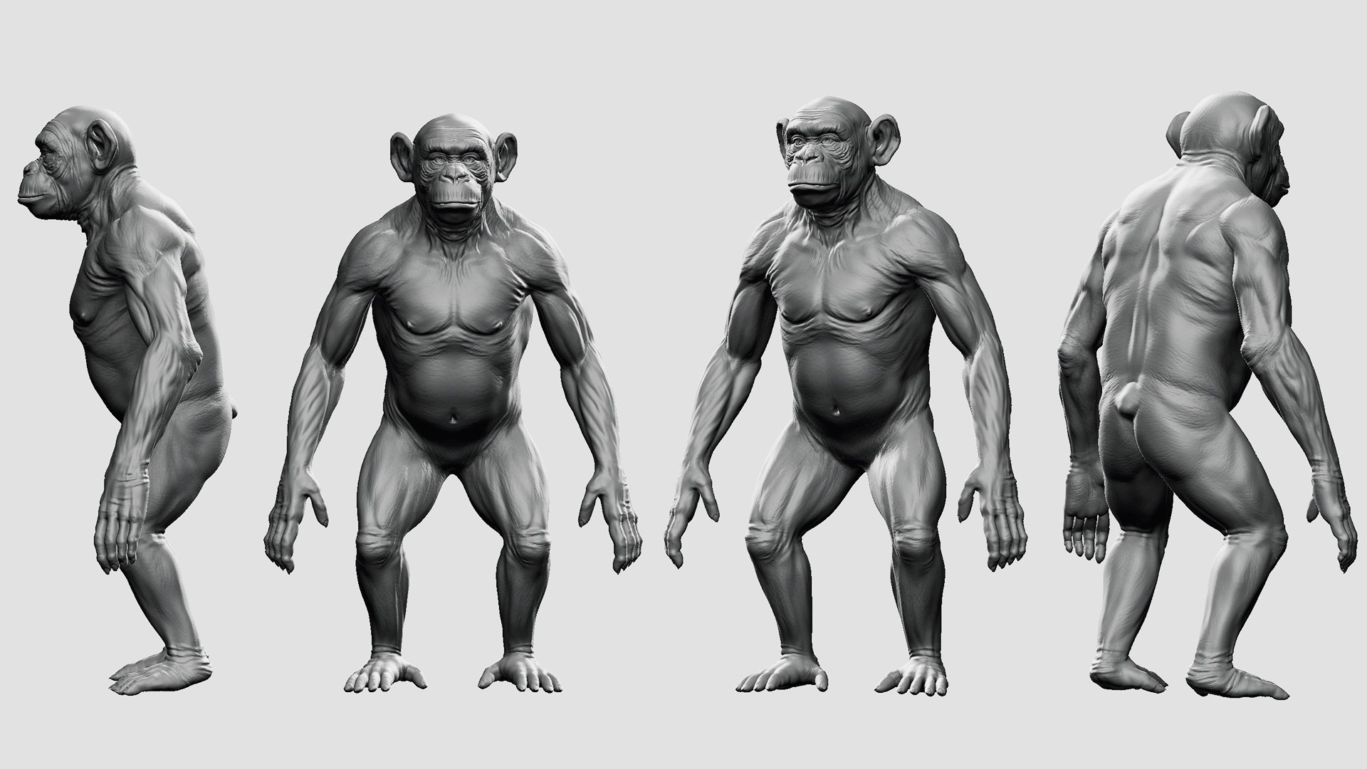 3D Primate Pack  2 model https://p.turbosquid.com/ts-thumb/wD/aEFLob/Gu/3333333333/jpg/1690890128/1920x1080/fit_q87/0f05e1a9f2dda2e89dee8178e21629e0198f2362/3333333333.jpg