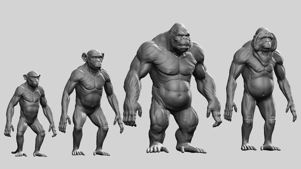 modelo 3d Paquete de primates - TurboSquid 2096641