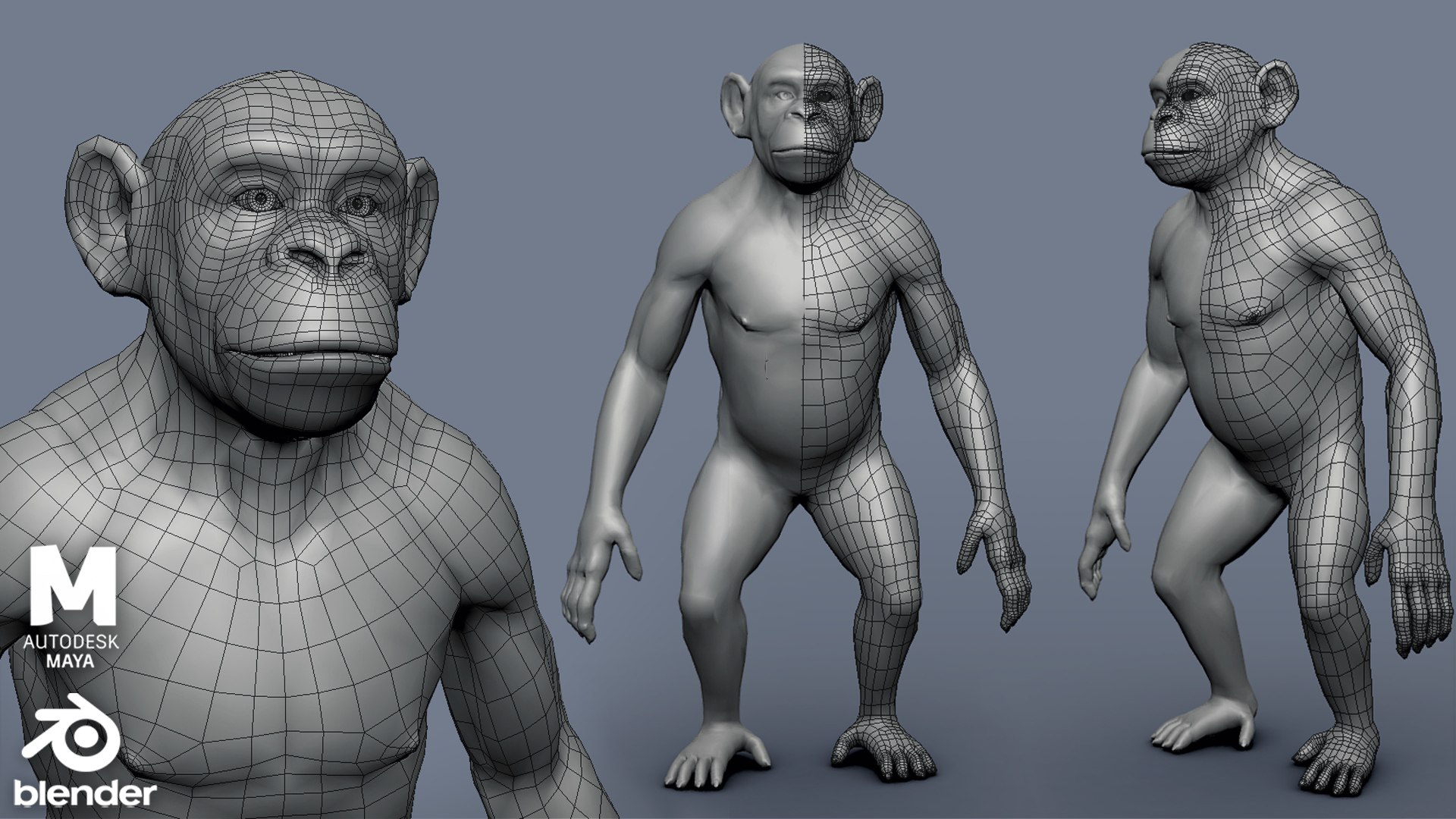 3D Primate Pack  2 model https://p.turbosquid.com/ts-thumb/wD/aEFLob/aa/chimpbase1/jpg/1700227376/1920x1080/fit_q87/0d26142f2c75450ffc7f94e0ecde30377dfd586a/chimpbase1.jpg