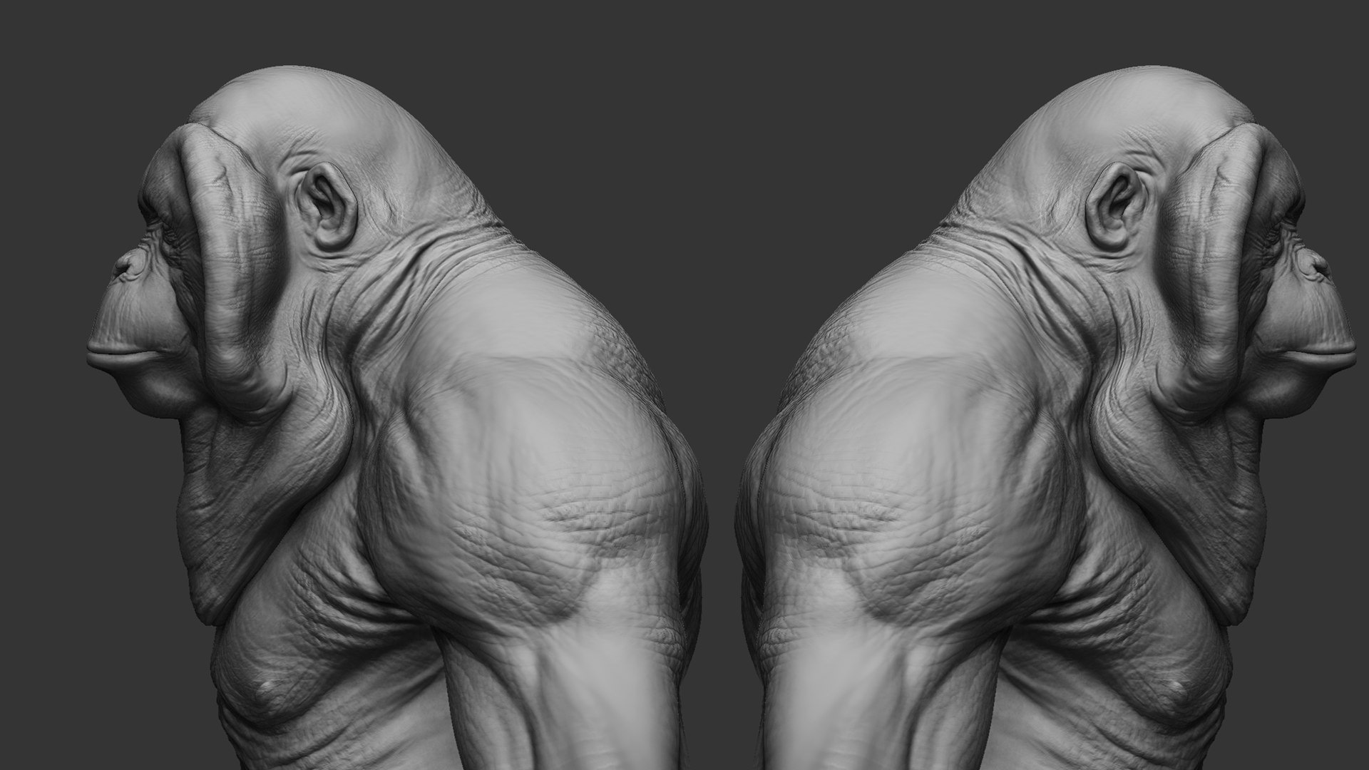 3D Primate Pack  2 model https://p.turbosquid.com/ts-thumb/wD/aEFLob/bv/7/jpg/1700719725/1920x1080/fit_q87/9fd7173f97599e6c21b7b3304b5112c0a2e61d2f/7.jpg