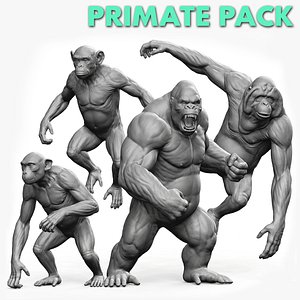 3D Primate Pack  2 model