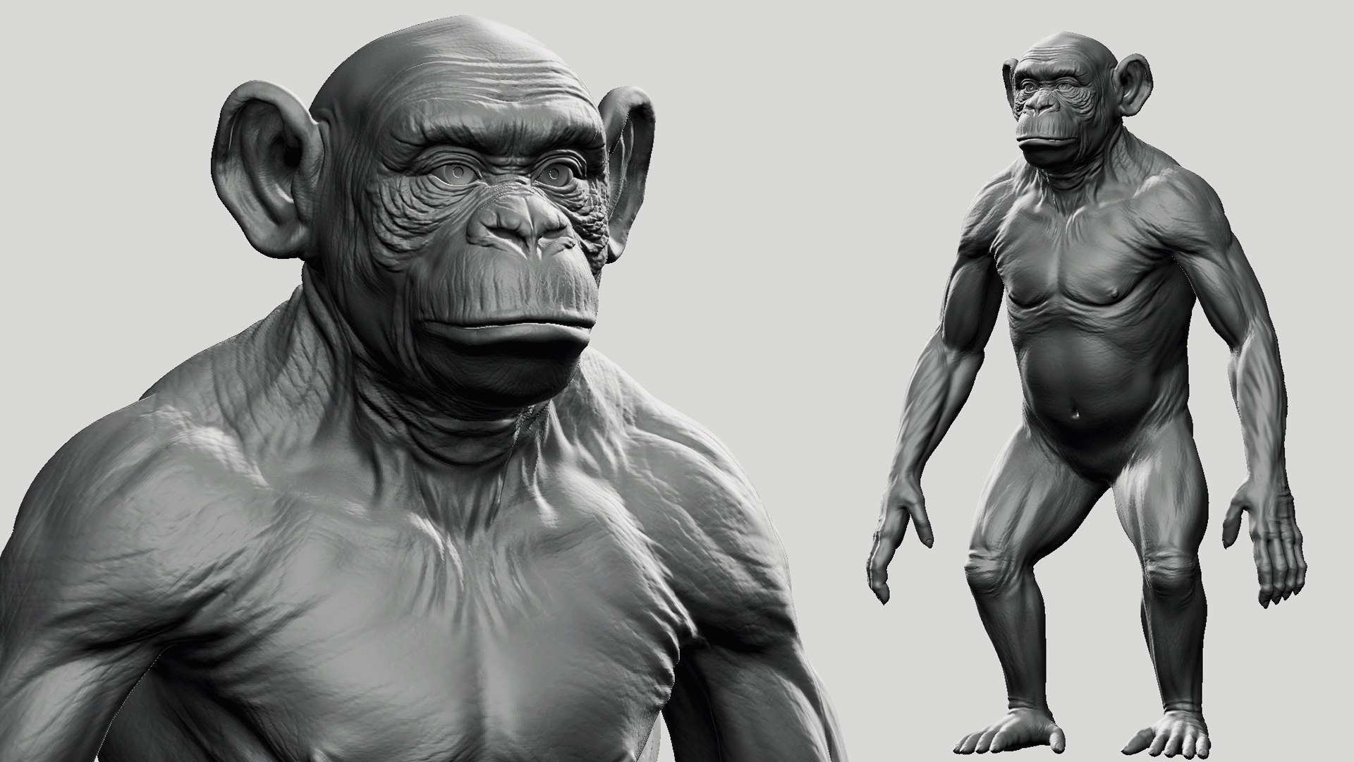 3D Primate Pack  2 model https://p.turbosquid.com/ts-thumb/wD/aEFLob/om/chimp/jpg/1700719774/1920x1080/fit_q87/f9d4d3267a67f56d11b169226a0f74a074e1309b/chimp.jpg