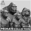 Primate Pack