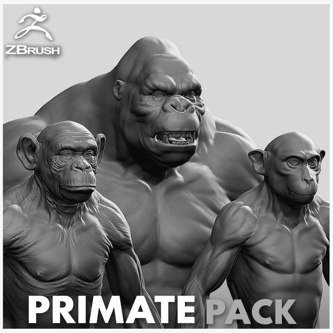 3D Primate Pack 2 model - TurboSquid 2096641