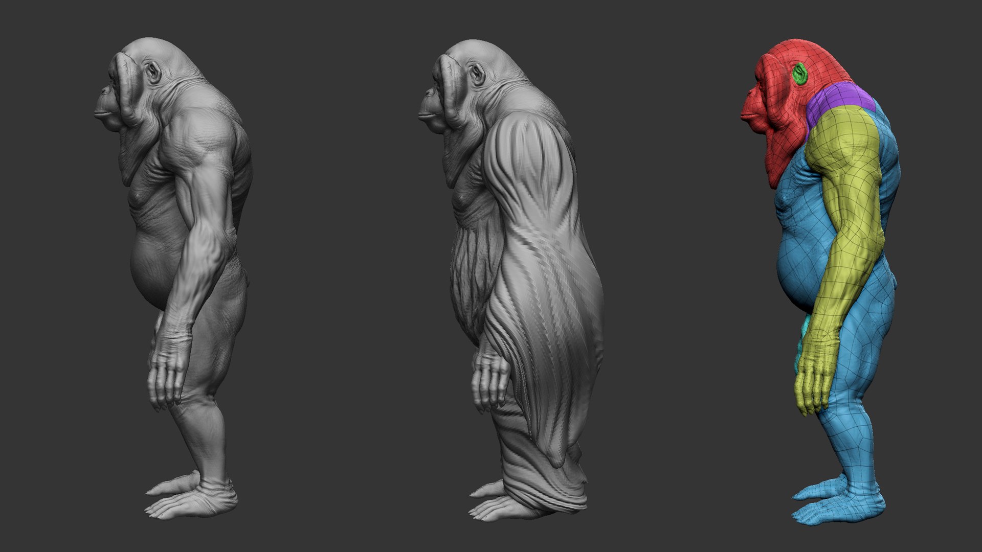 3D Primate Pack 2 Model - TurboSquid 2096641