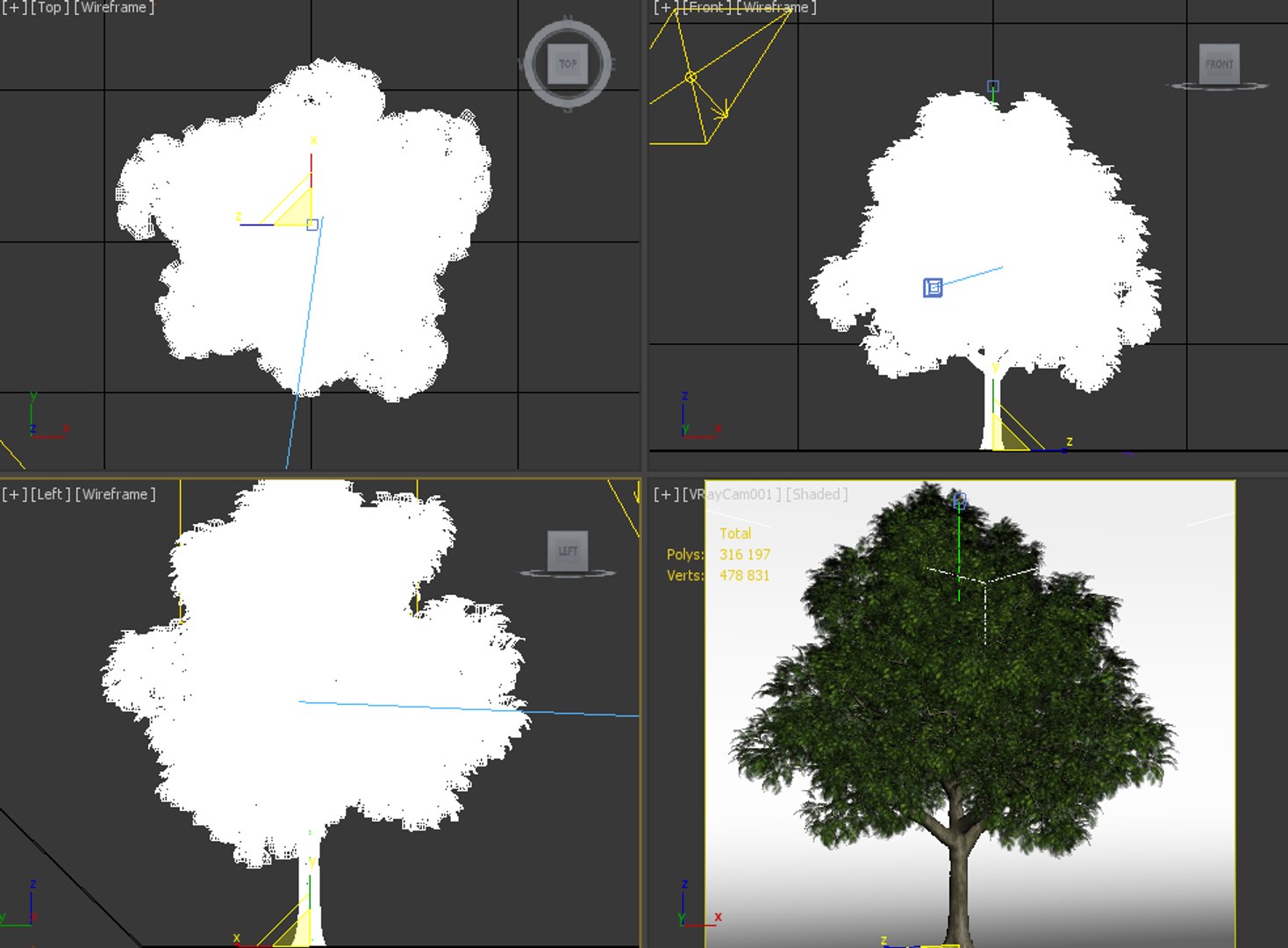 Red Oak 3D - TurboSquid 1393697