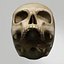 Human Skull