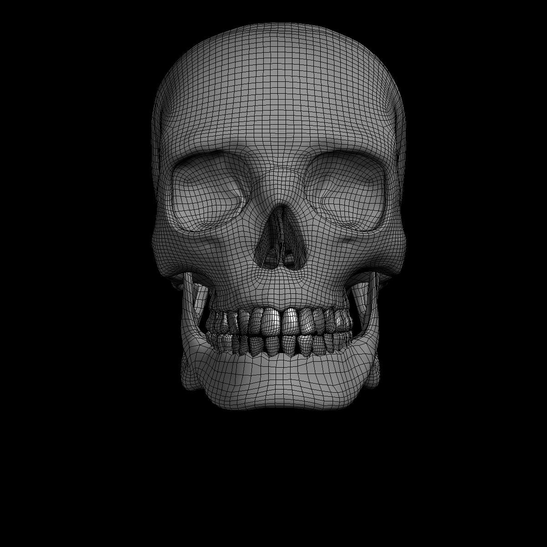 skull human obj https://p.turbosquid.com/ts-thumb/wD/qFQNYd/p1WM6lgs/rot2/jpg/1364802970/1920x1080/turn_fit_q99/d207e59cf4bc195de4e497df9aa4ec5776c8a0f8/rot2-1.jpg