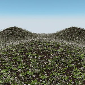 3D model dandelion white