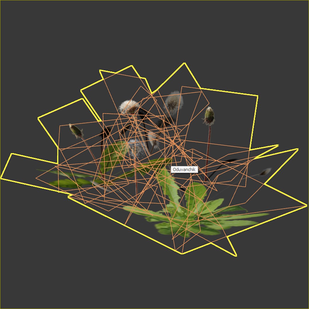 3D model dandelion white https://p.turbosquid.com/ts-thumb/wD/tMo9jY/WspfmNiu/2/jpg/1603296332/1920x1080/fit_q87/cabbe5a1f918a50e5288e589bc3f98624d21371e/2.jpg