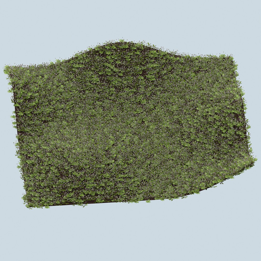 3D model dandelion white https://p.turbosquid.com/ts-thumb/wD/tMo9jY/vwcmSst2/5/jpg/1603296242/1920x1080/fit_q87/1a74d3e17afc65389781d8026746f2649e3559d7/5.jpg
