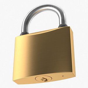 Padlock(1)