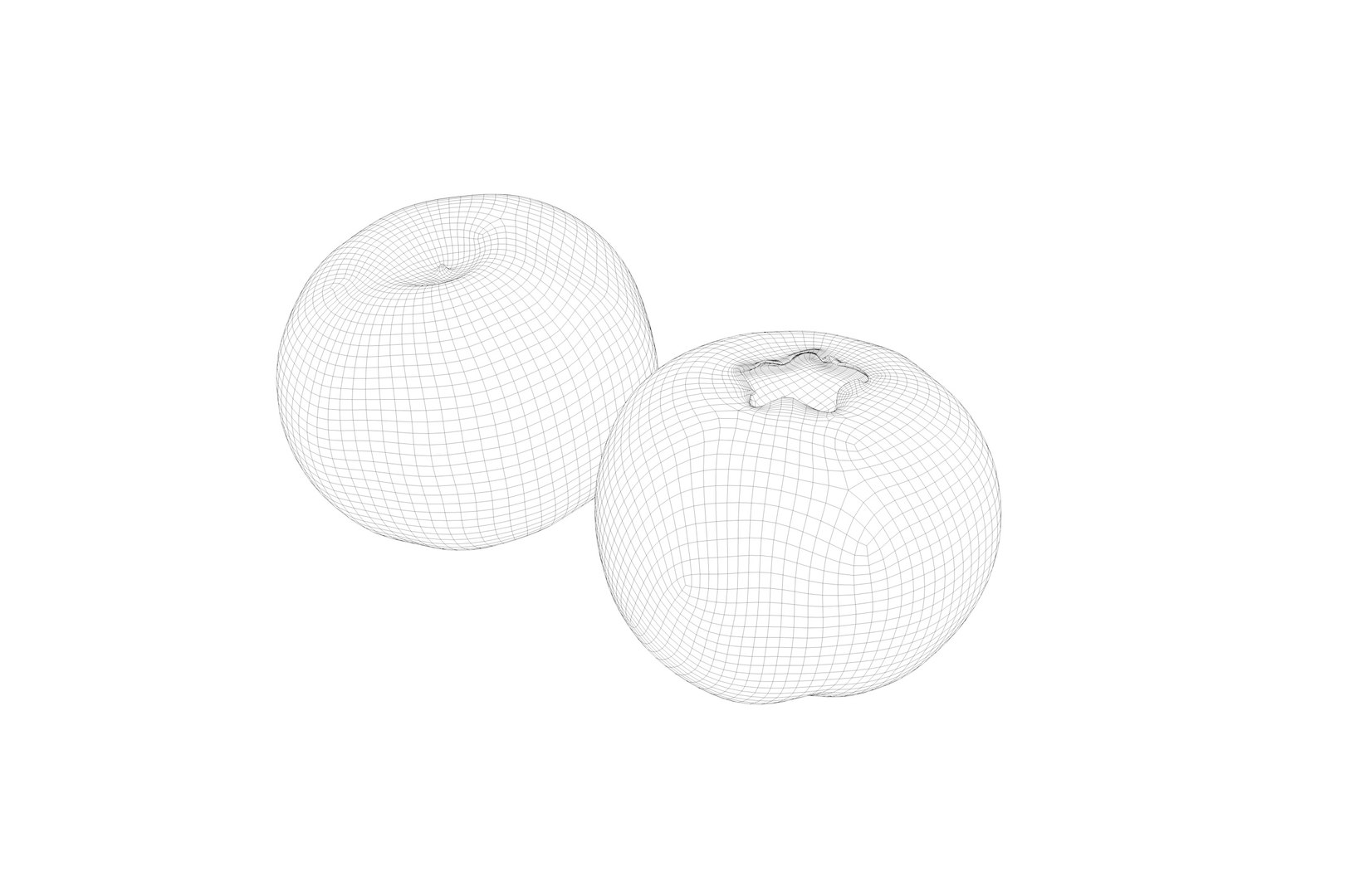 POLYPASTA - Blueberry 02 3D model https://p.turbosquid.com/ts-thumb/wD/vqc1TG/ie/blueberry02_wireframe/jpg/1638551682/1920x1080/fit_q87/1183d8d7b35ecf4aff0eb9a76848eb26953d8848/blueberry02_wireframe.jpg