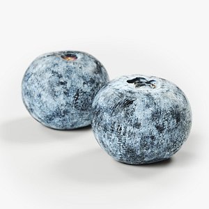 POLYPASTA - Blueberry 02 3D model