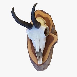 scan deer skull 3D model