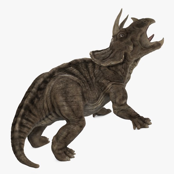 triceratops_cam01.jpg