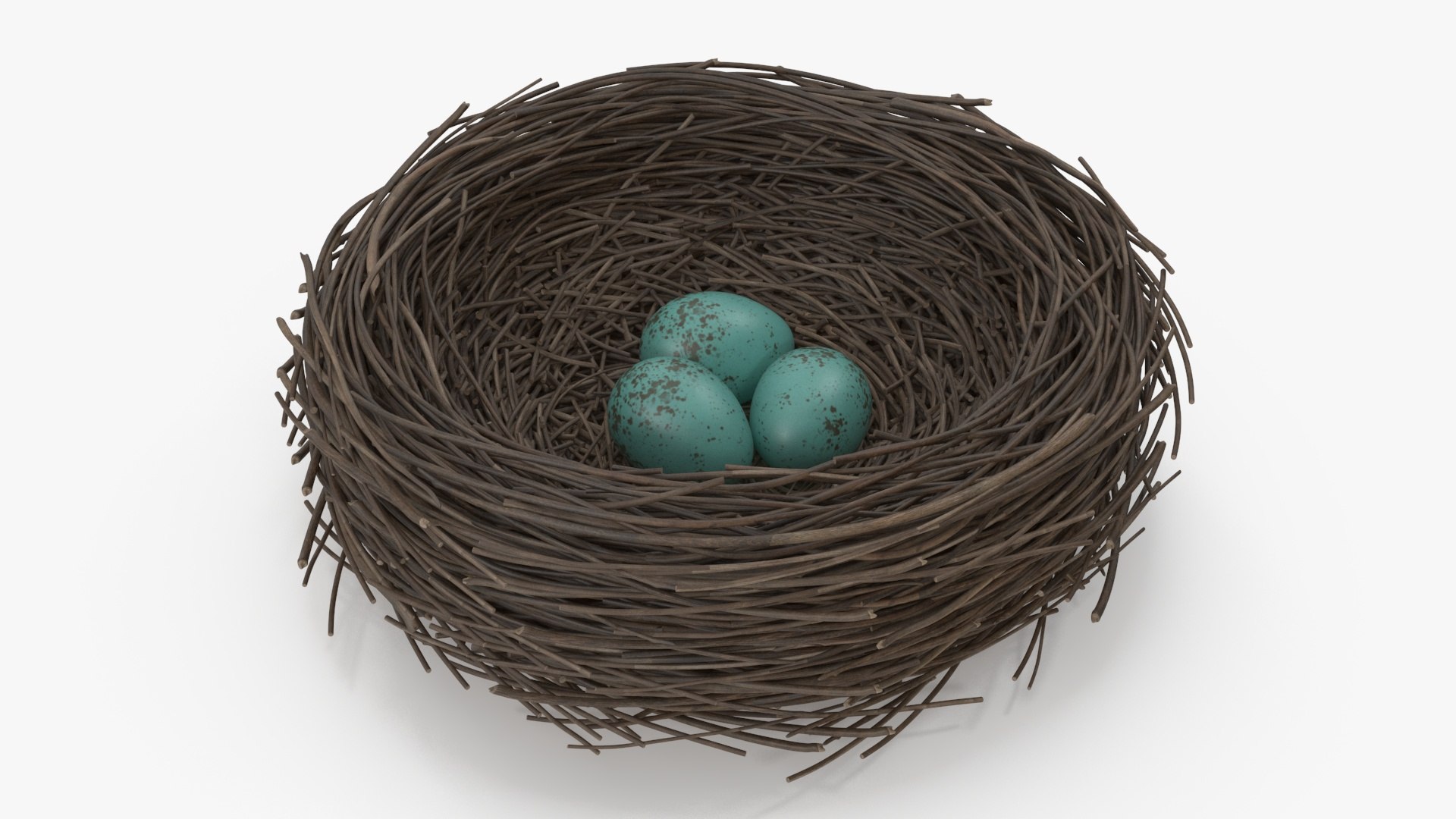 Bird Nest 3D - TurboSquid 2200237