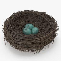 Bird Nest
