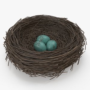 Bird Nest
