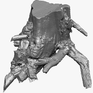 scan of tree root in highpoly 3D model