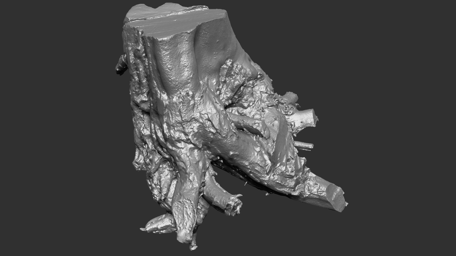 Scan Of Tree Root In Highpoly 3D Model - TurboSquid 2149546