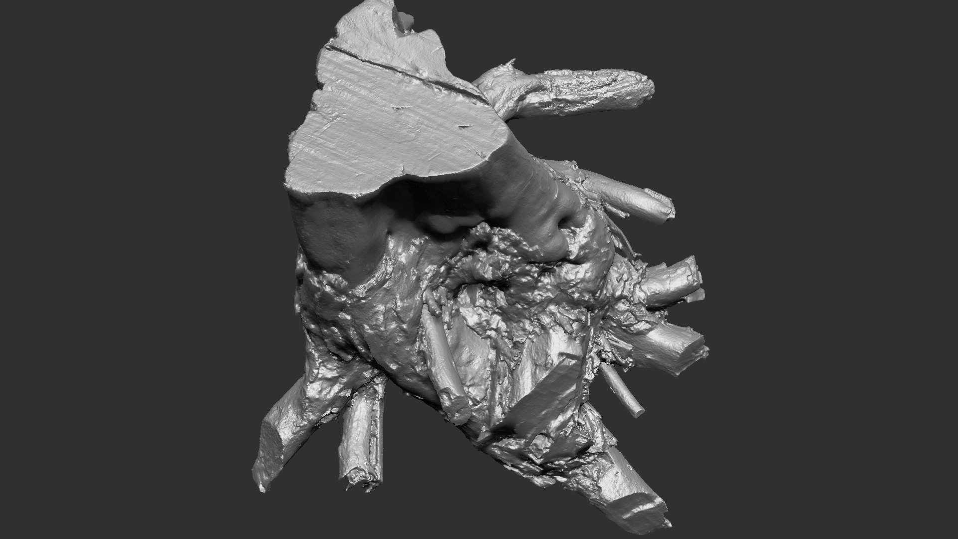 Scan Of Tree Root In Highpoly 3D Model - TurboSquid 2149546