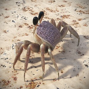 Shoreline Sand Crab Pink Beige Fur Rigged